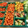 tomatoes-gcb8313e38_1920.jpg